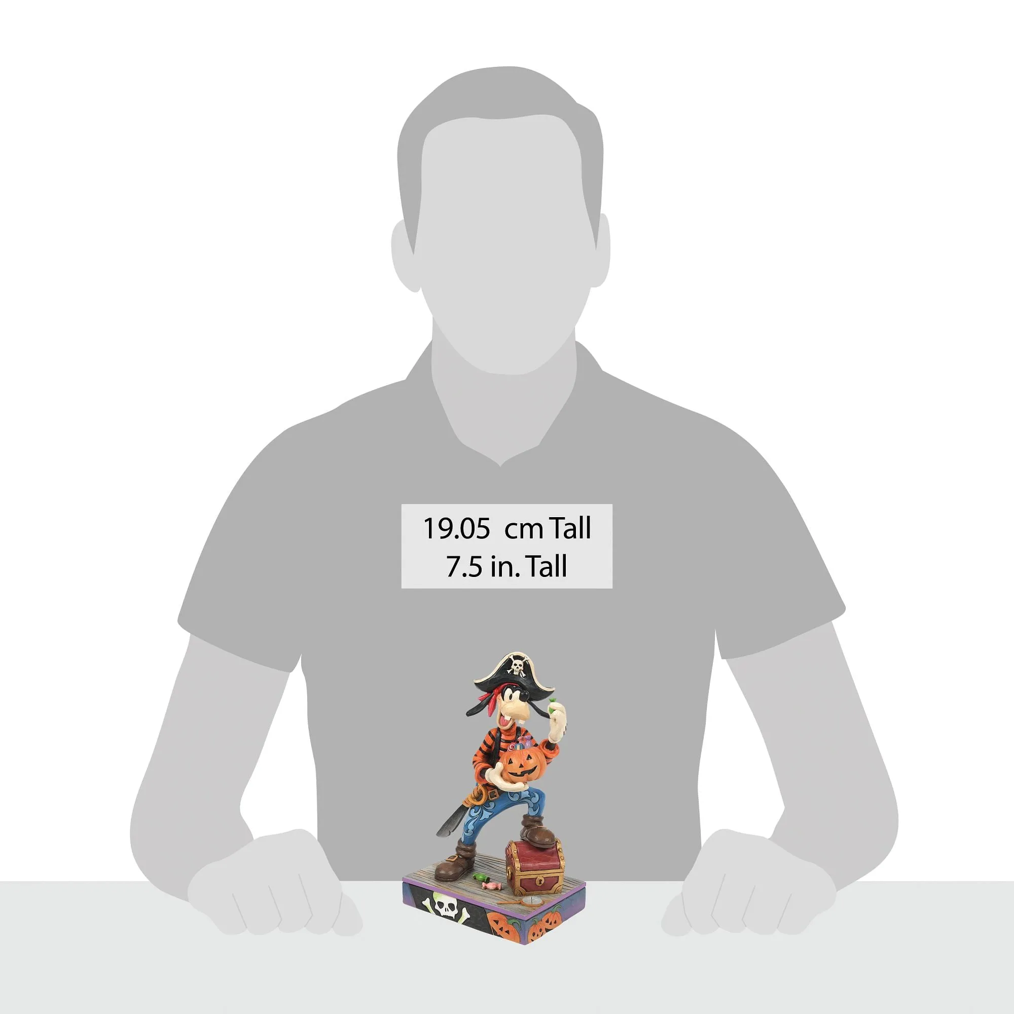 Goofy Pirate Costume